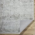 thumbnail image 3 of BoutiqueRugs Clodia Traditional, Transitional Area Rug - Ivory, Taupe, Charcoal - 2' x 3', 3 of 6