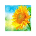 thumbnail image 1 of Tnarru Kit de Peinture Diamant par Numéros 2xDIY, Perçage Complet, Strass Ronds B 2 Pcs, 1 of 8