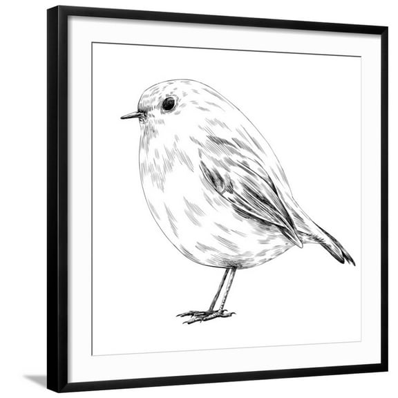 Art.com Hand-Drawn Robin Art Print by aggressor, Black Frame Wall Art, 29" x 29"