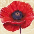 thumbnail image 2 of OToole, Tim 26x26 White Modern Wood Framed Museum Art Print Titled - Red Poppy II, 2 of 4