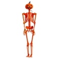 thumbnail image 1 of Esqueleto de Halloween realista de 90 cm, accesorio espeluznante de cuerpo completo para colgar en la ventana del patio, la casa o la fiesta al aire l, 1 of 9