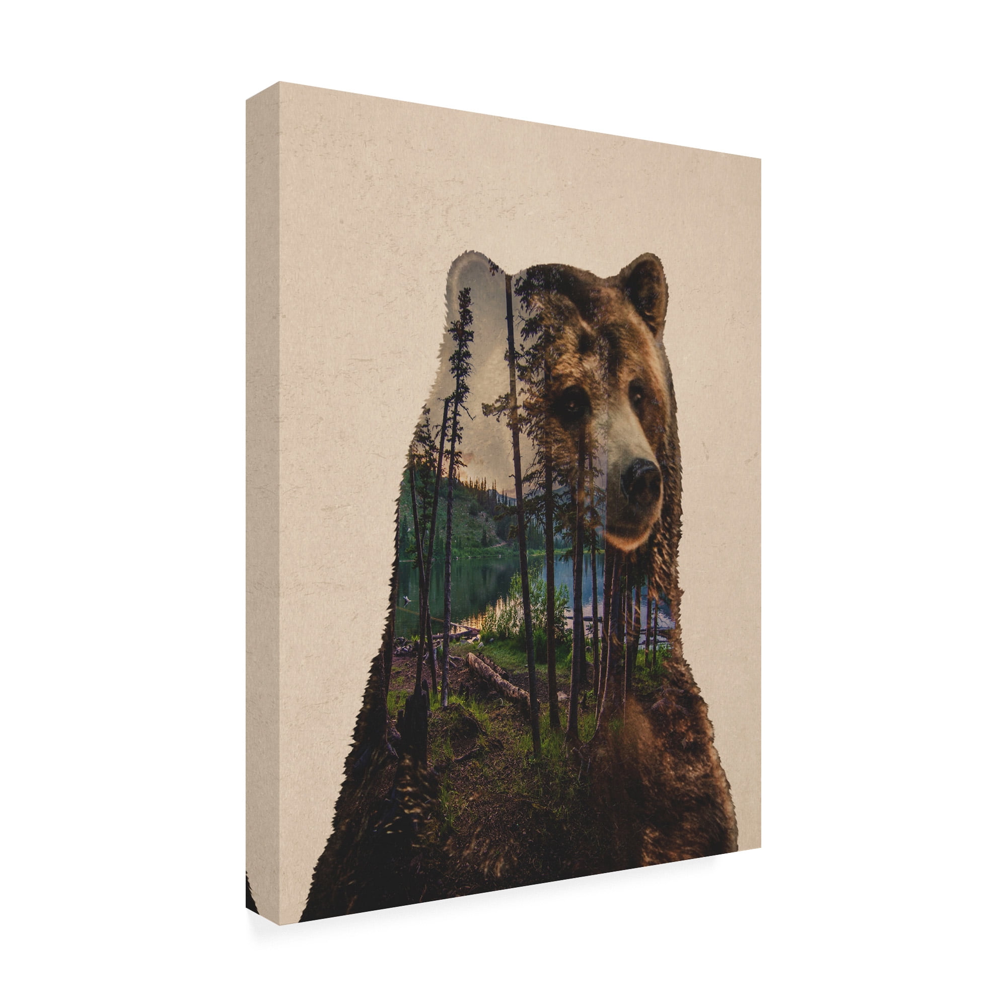 Trademark Fine Art 'Bear Lake' Canvas Art by Davies Babies