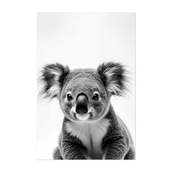 baby koala - Photography Animal Wildlife Black and White Nature Portrait Minimalist Unframed Wall Art Print 4 x 6 inches