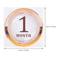 thumbnail image 2 of 1 Set Baby First Year Growth Sticker Newborn Monthly Sticker for Scrapbook Photo, 2 of 8