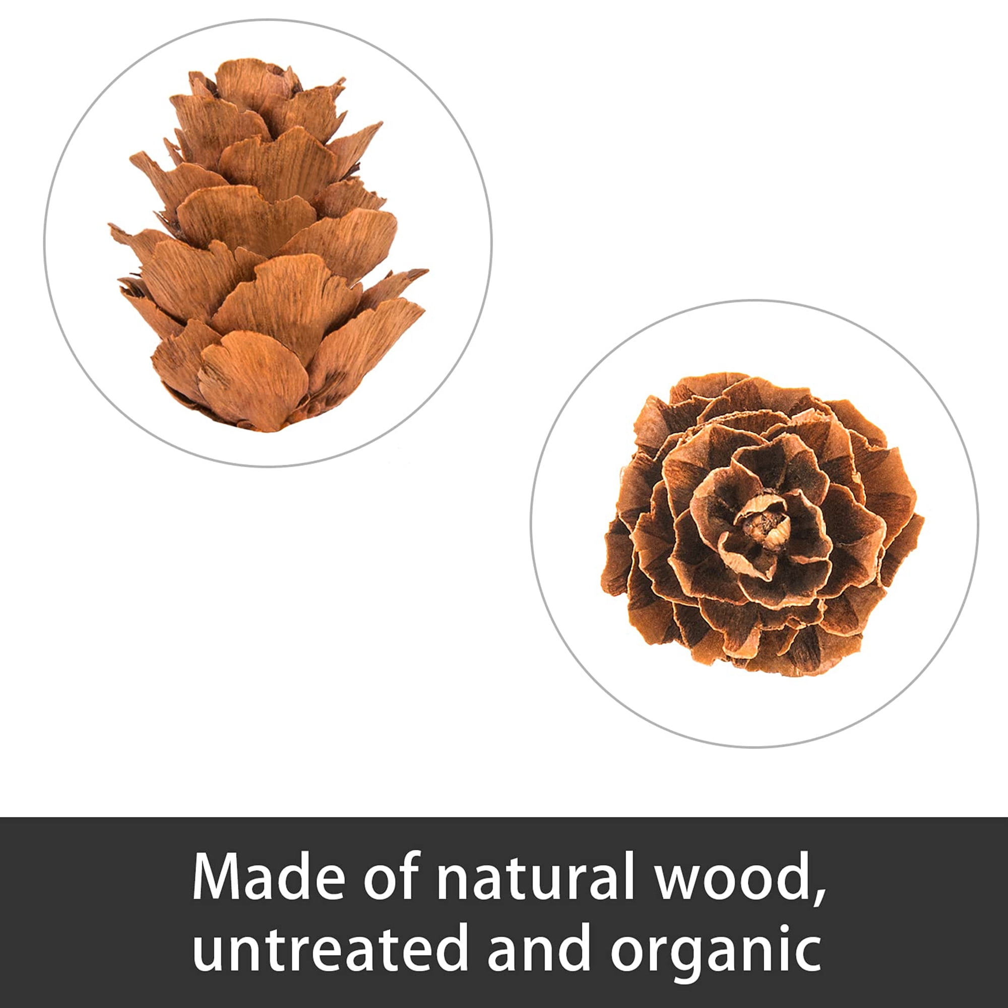 Ebaokuup 800 Pcs Mini Natural Pine Cones for Christmas Fall Wedding Crafts