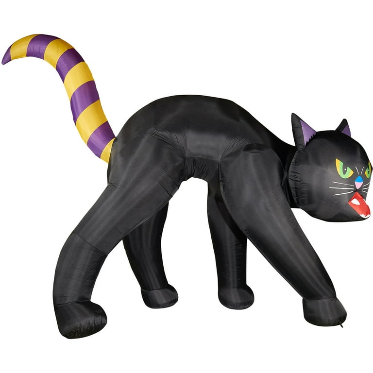 Black Cat Stationary Reel Catextreme Big Cat