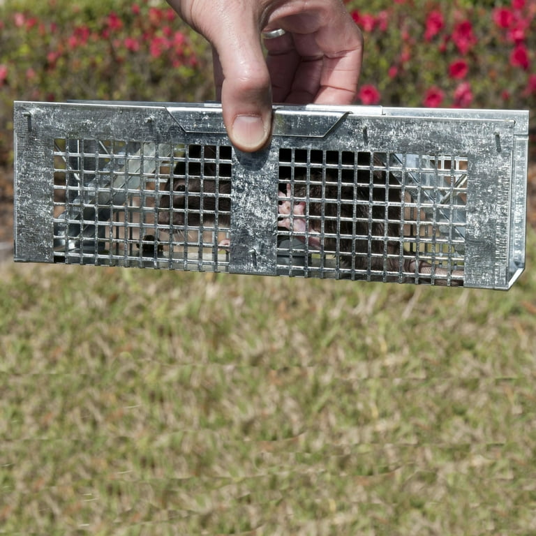 Havahart® X-Small 2-Door Trap. Ground trapping of is a very