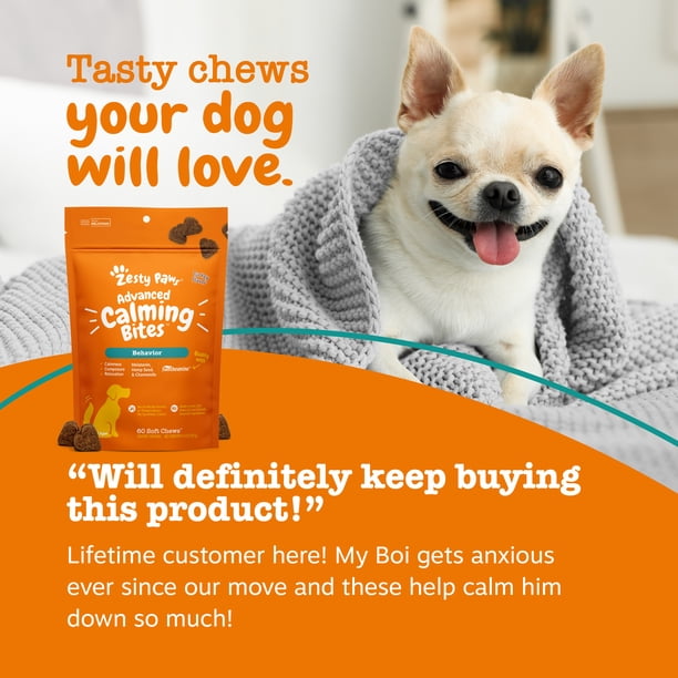 Zesty Paws Advanced Calming Bites for Dogs, Calming Behavior