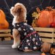 thumbnail image 1 of Divertidos suministros para mascotas de Halloween, esqueleto para fiesta de mascotas, conjunto de falda colgante de esqueleto de perro, conjunto para fiesta de perros, 1 of 7