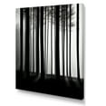 thumbnail image 2 of Designart "Silence Photography: Black And White Forest II" Forest Canvas Wall Art, 2 of 7