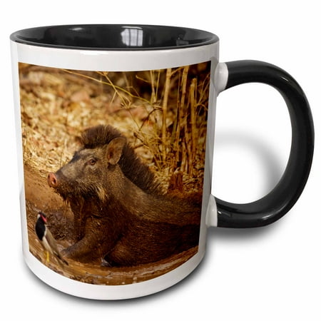 3drose, Wild Boar, Tadoba Andheri Tiger Reserve, Tatr., 11oz Two-tone Black Mug