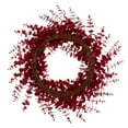 thumbnail image 6 of Vickerman 24" Red Artificial Eucalyptus Glitter Wreath., 6 of 6
