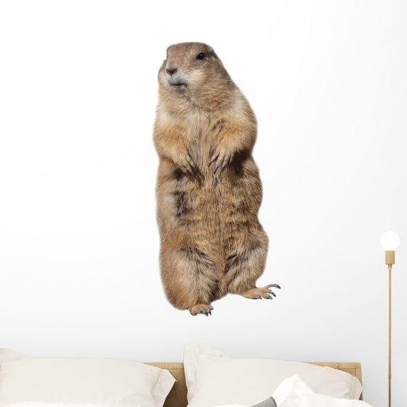 Prairie Dog Wall Decal by Wallmonkeys Peel and Stick Graphic (36 in H x 17 in W) WM262316