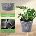 thumbnail image 5 of 24 Pcs 3/4/5/6/7/8/9/10 Inch Large Size Clear Nursery Pots Variety Pack Plant Pots with Drainage Holes Planters for Indoor Plants Flexible Transparent Plastic Plant Bottle Succulents, 5 of 6
