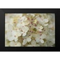 thumbnail image 2 of Bradley, Felicity 14x11 Black Modern Framed Museum Art Print Titled - Hydrangea Delight II, 2 of 5