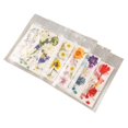 thumbnail image 4 of Kit de Flores Prensadas Ticfox 5 Bolsas Flores Secas, 4 of 12