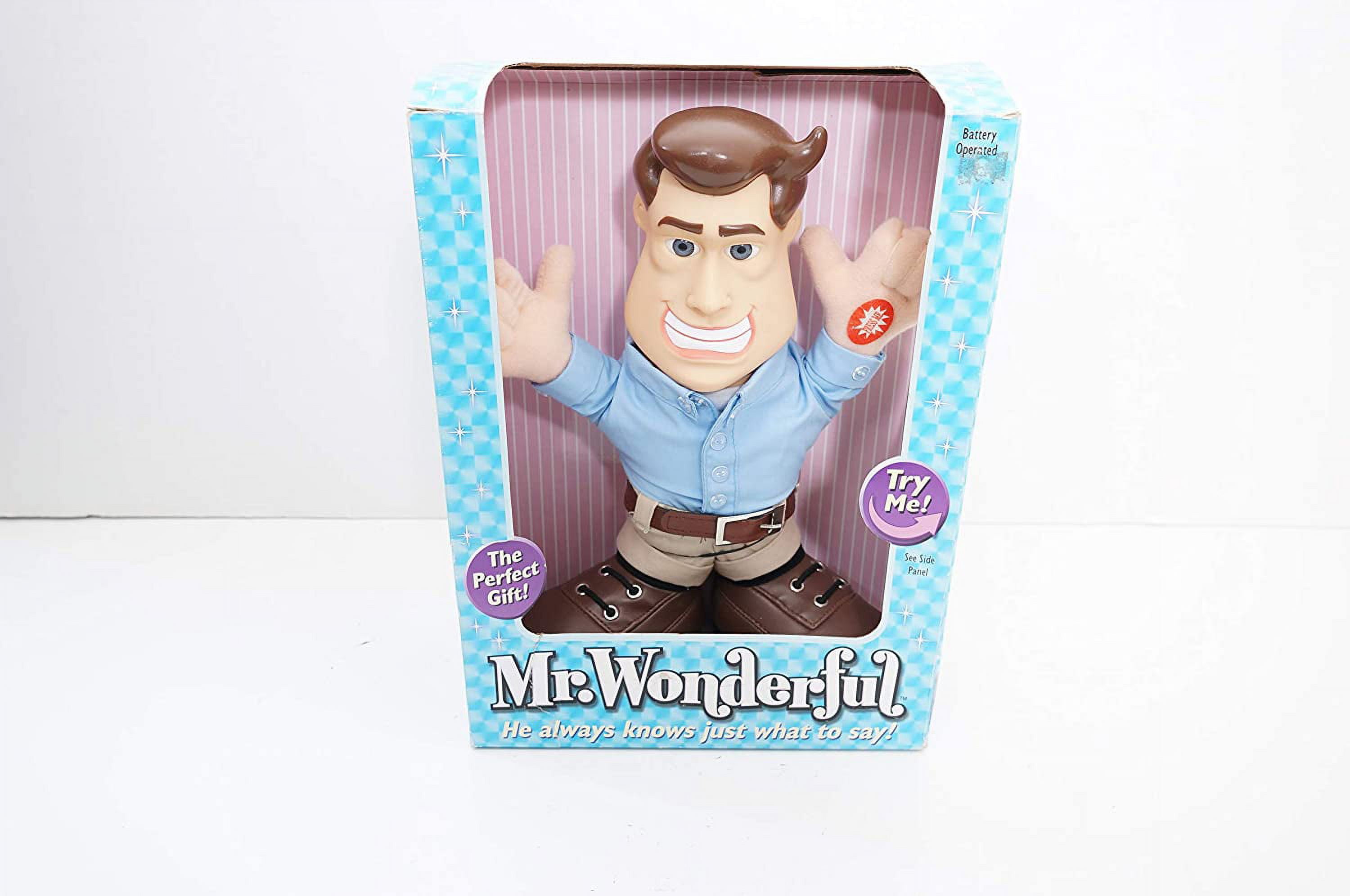 My Talking Mr Wonderful Doll, The Toys I Had Wiki