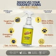 thumbnail image 3 of Whip-It Stain Remover and Concentrate Kit - 2-32oz Concentrates & 1-32 OZ Pro Spray Stain Remover, Plant Based Enzyme Cleaner for Carpets, Upholstery, Coffee, Wine, Baby, Pet Stains, 3 of 8