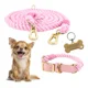 thumbnail image 1 of Correa Doble 2.4m Y Collar Para Perro. Set Nube Kewoow, 1 of 8
