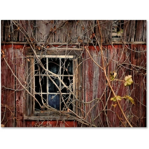 Trademark Fine Art "Old Barn Window" Canvas Art by Lois Bryan
