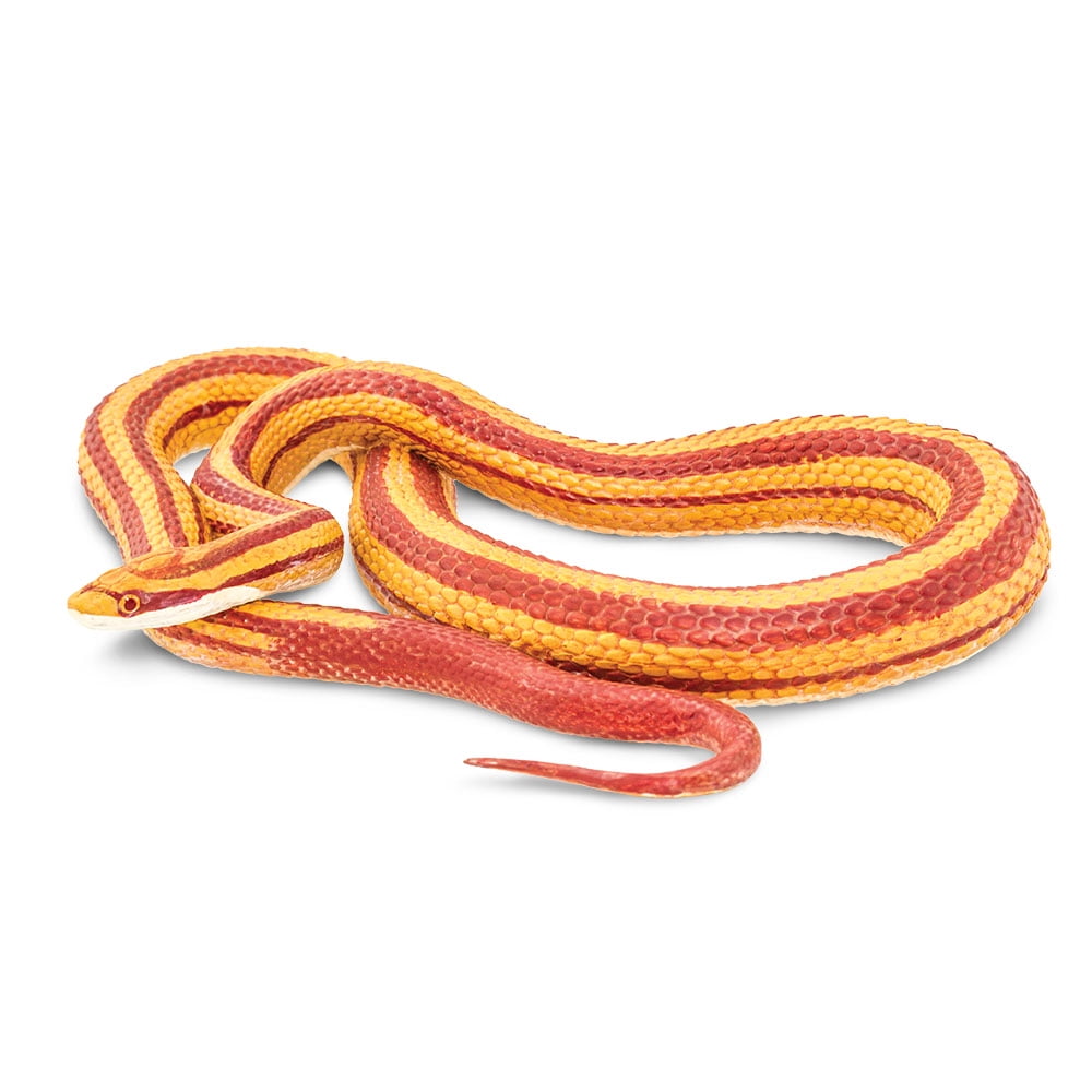 toys for corn snakes
