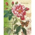 thumbnail image 2 of Rose Splendor I Poster Print by Ching Han-VARPDXCC3053, 2 of 2