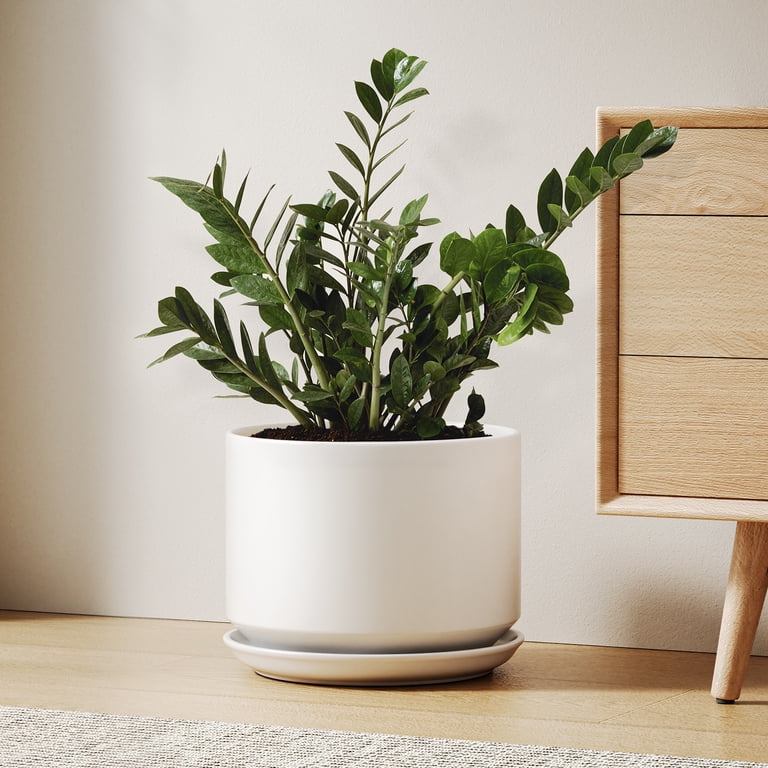 BEMAY 10 Inch White Ceramic Planter Pot photo 1