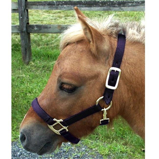 halter mini