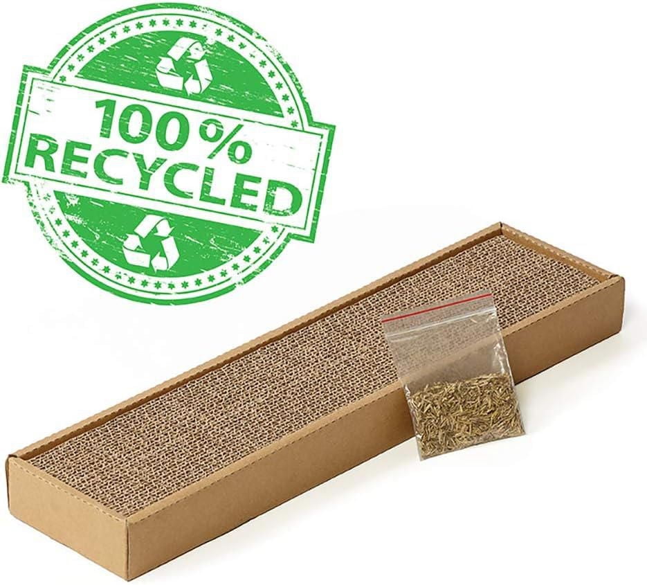 Midwest Catty – Petit chat gratté