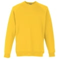 thumbnail image 1 of Fruit Of The Loom Childrens  Raglan Sleeve Sweatshirt, 1 of 3