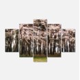 thumbnail image 2 of Fleurs de Cerisier dans un Pin - Impression sur Toile Paysage, 2 of 3