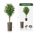 thumbnail image 3 of Artificial Tree in Contemporary Geometric Planter, Fake Ficus Silk Tree for Indoor and Outdoor Home Decoration - 75" Overall Tall (Plant Pot Plus Tree), 3 of 5