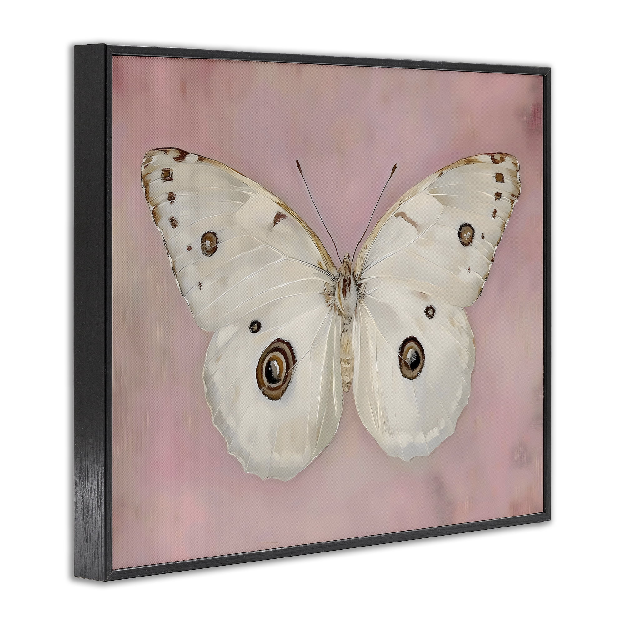 Stupell Industries Gossamer Butterfly on Blush Background Black Framed Giclee Art, design by Arlington Prints