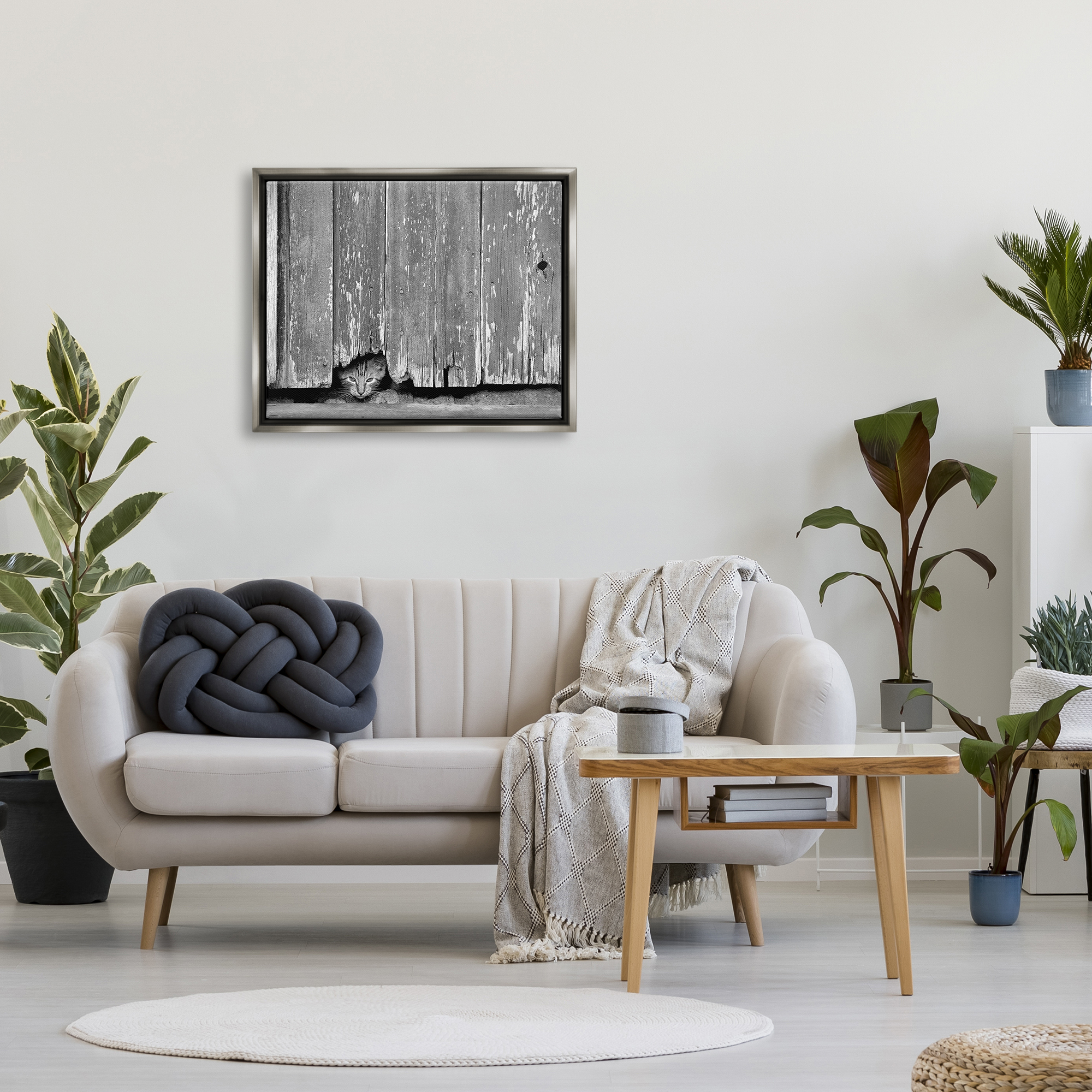 Stupell Industries Rustic Cat Peeking Animals & Insects Photography Gray Floater Framed Canvas Art Print Wall Art, 31 x 25