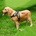 thumbnail image 3 of Dog No Pull Adjustable Vest Harness  Pet Nylon for Small Medium Large/XL Dog, 3 of 7