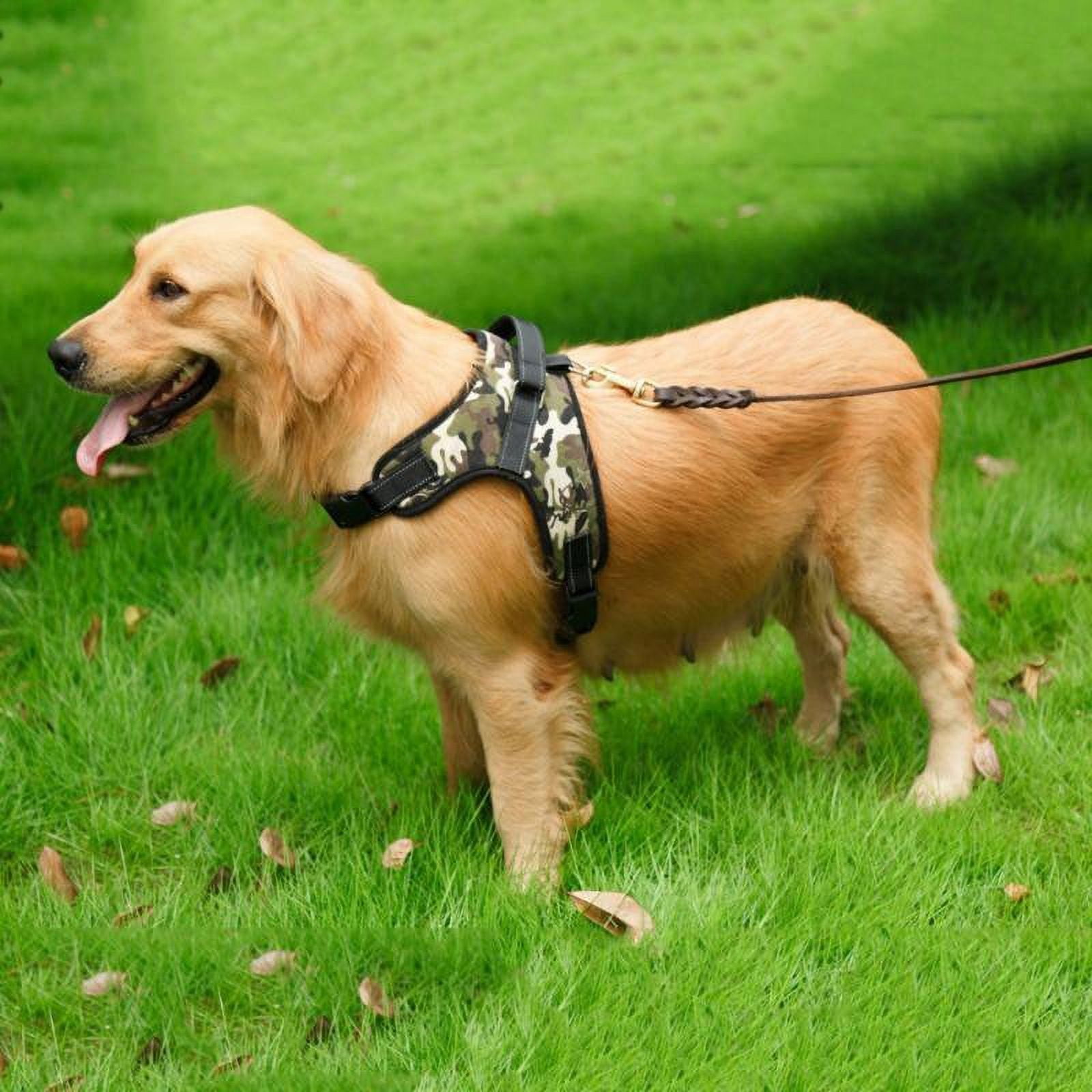 Anti Pull Dog Chest Harness Vest Chest Harness With 1 Dog Leash Attachments And Easy Control Handles Suitable for Small Medium and Large Dogs