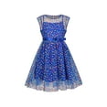 thumbnail image 1 of Robe Fille Multicolore Arc-en-Ciel Classique à Pois Tulle Bleu Robe de Soirée 10 Ans, 1 of 1
