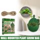 thumbnail image 3 of Paquete de 2 contenedores de flores para jardinería, bolsa para cultivo de plantas, bolsas colgantes para plantar plantas Tmvgtek Para estrenar, 3 of 8