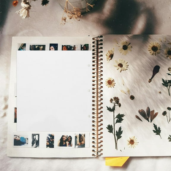 Tineasur Transparent Self-Adhesive Photo Album Refill Sheets for Albums