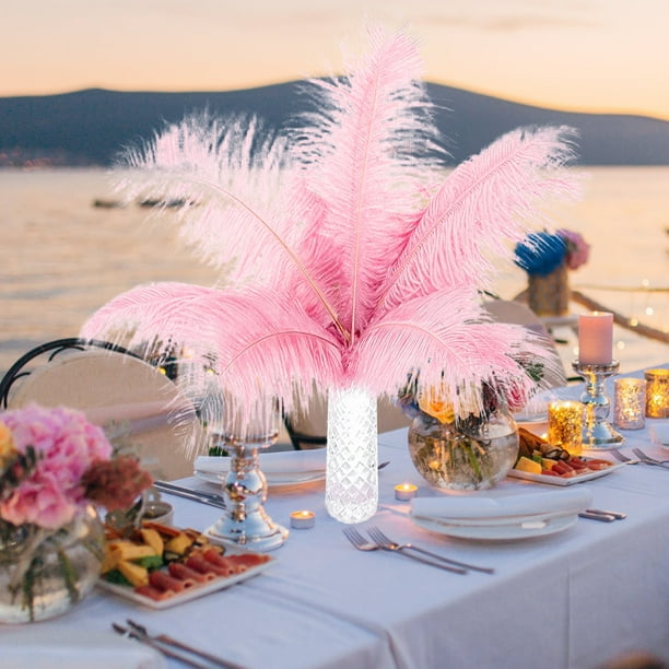 10 Plumas Grandes De Avestruz Rosa Intenso De 16 A 18 Pulgadas, Plumas Esponjosas Para Manualidades, Decoración De Fiesta En El Hogar, Centros De Mesa, Ropa, Jarrón, Decoración