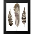 thumbnail image 2 of Ludwig, Alicia 12x14 Black Modern Framed Museum Art Print Titled - Custom Earthtone Feathers II (ASH), 2 of 5