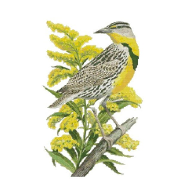 Nebraska State Bird And Flower Western Meadowlark And Goldenrod Counted Cross Stitch Pattern Walmart Com Walmart Com