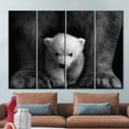 thumbnail image 4 of Animal Photo Artwork, Animal Wild Artwork, Animal Art Canvas, Baby Polar Bear, Trendy Art Canvas, Animal Photography Art Canvas, Canvas Wall Decor - 4P-Gallery Wrapped, 4 of 9