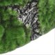 thumbnail image 2 of Reptiles Hideout Resin Safe Prevent Fading Aquarium Decoration Cave for Aquarium Fish Tank, 2 of 2