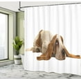 thumbnail image 4 of Ambesonne Basset Hound Shower Curtain, Long Eared Dog, 69"Wx75"L, Caramel Mustard, 4 of 4