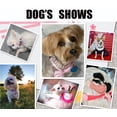 thumbnail image 2 of Pearl Dog Collars, Pearl Cat Collar Pu Leather Puppy Necklace with Crystal Rhinestone Diamond for Girl Kitten XXSmall Small Medium Female Dogs Jewelry Wedding & Birthday Party, 2 of 6