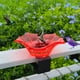 thumbnail image 4 of ¡Descuento Extra!, 2024 Nuevo baño para pájaros en miniatura para jardín al aire libre Nuevo cuenco para baño para pájaros Comedero para pájaros Akmoler, 4 of 7