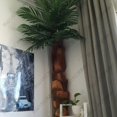 thumbnail image 2 of Corteza de palma Racoon Sisal Fino Abeto 5 Hojas para trepar Natural Marrón Seda Tanktops Plantas Artificiales Interior, 2 of 6