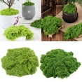 thumbnail image 2 of CIYISON 150g Fake Green Moss for Potted Plant Table Centerpieces, 2 of 18