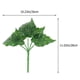 thumbnail image 2 of 6 mini bonsais Allinless en maceta verde, 2 of 3